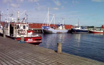 Fiskerbåde på havnen