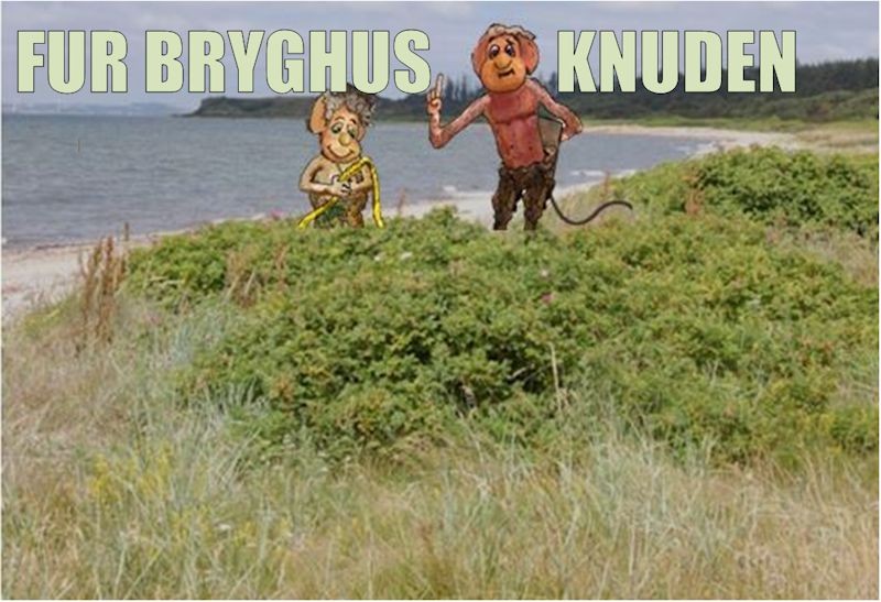 Fur Bryghus, Knuden